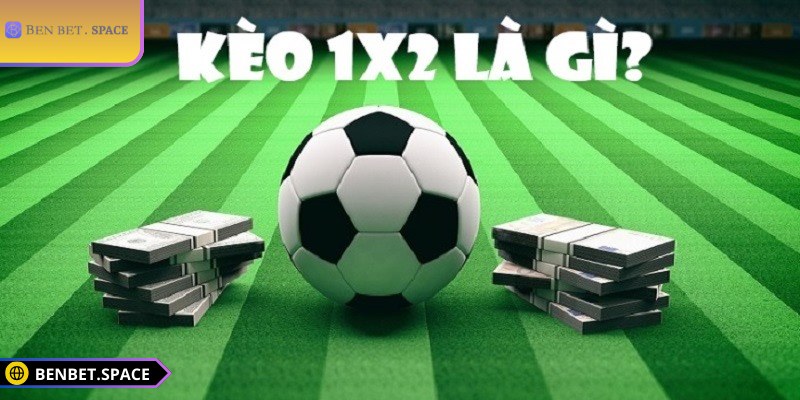 Tìm hiểu cơ bản về kèo 1/2 BENBET